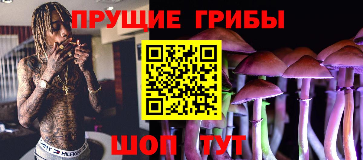 Кудымкар  Псилоцибиновые грибы Psilocybine cubensis  Вход с VPN  Галлюциногенные грибы ЛСД 